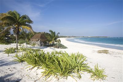 Mexiko Halbinsel Yucatan Riviera Maya